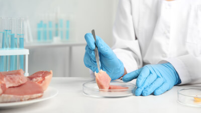 chicken lab